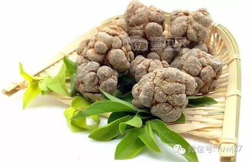 要想有效治療心絞痛 試試三七