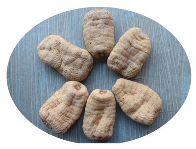 雷山縣烏桿天麻種植標(biāo)準(zhǔn)化示范區(qū)建設(shè)