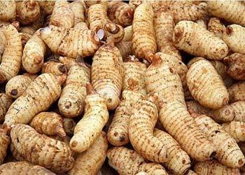 [天麻]天麻的功效與作用及食用方法-天麻泡水喝的功效-天麻的副作用_知識(shí)百科